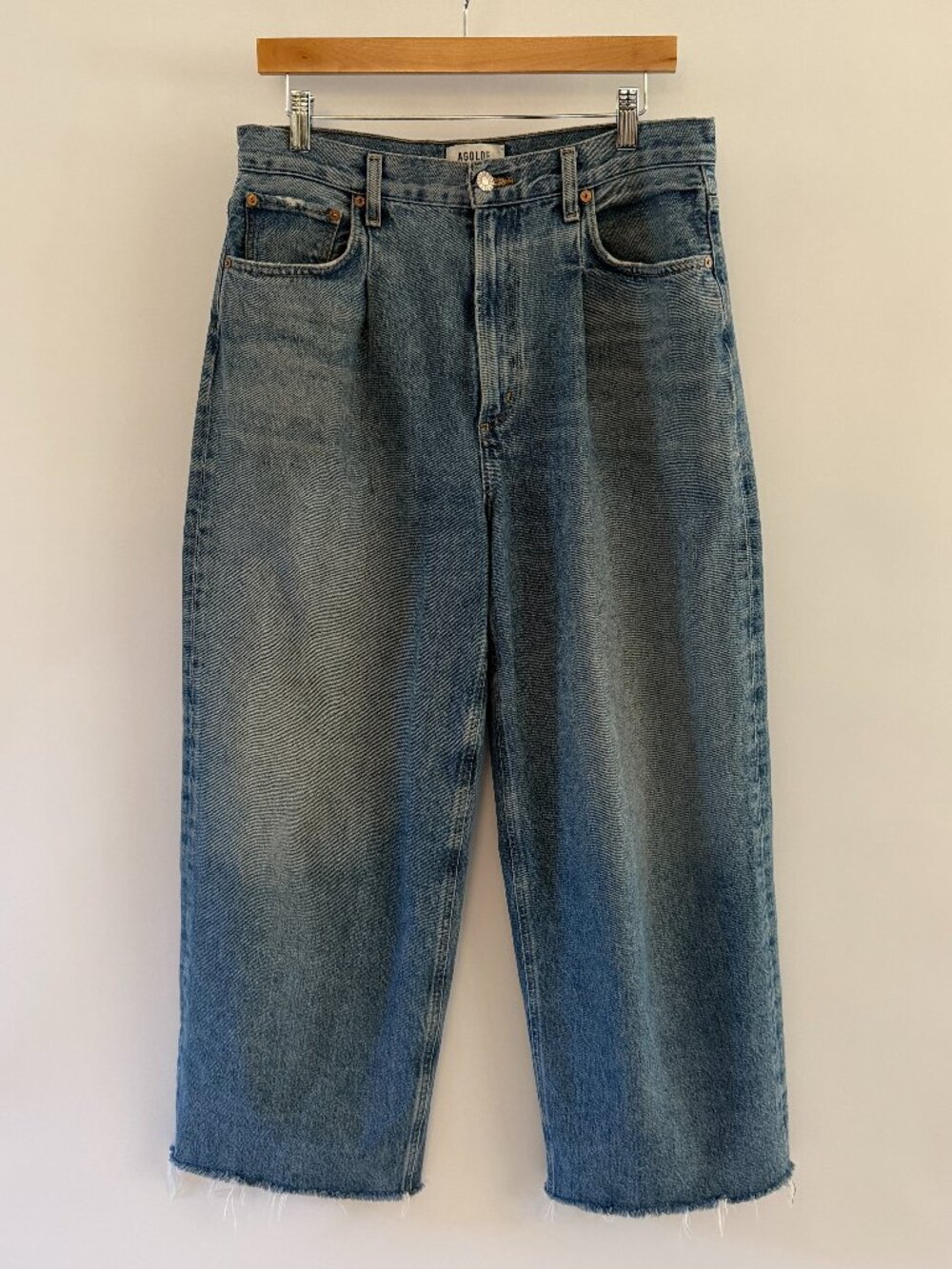 Agolde Dagna High Rise Pleated Baggy Denim